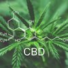Cannabidiol (CBD) – Das Cannabis, das nicht berauscht.