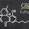 Cannabidiol (CBD) – Das Cannabis, das nicht berauscht?