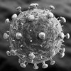 Ansteckungsrisiko mit HIV