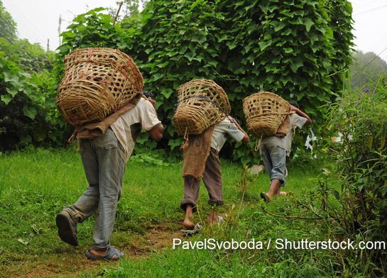 Umwelt, Menschen Umwelt, Menschen