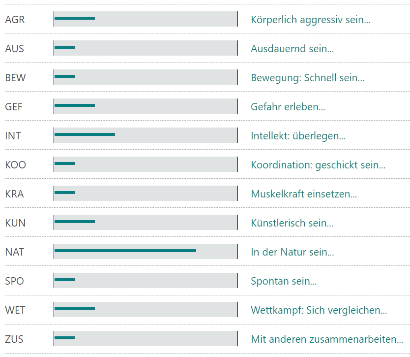 Beschreibung deines Persönlichkeitsprofils